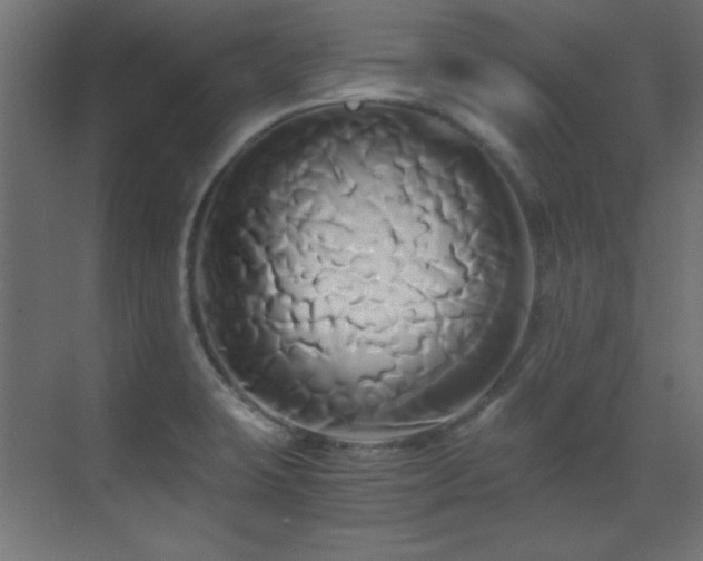 X0000071381423200606231234