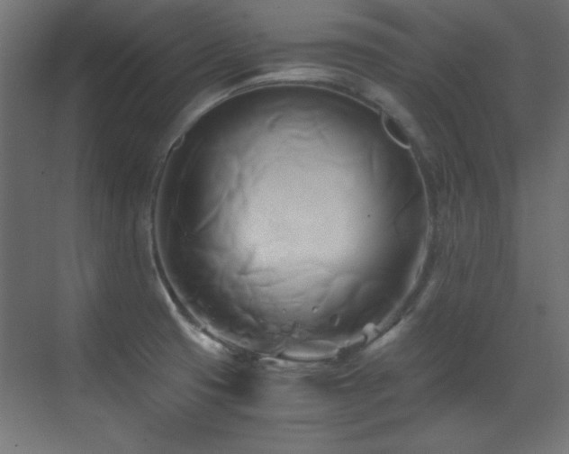 X0000071381425200606231234