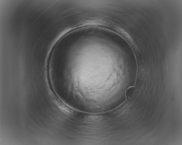 X0000071381427200606231234