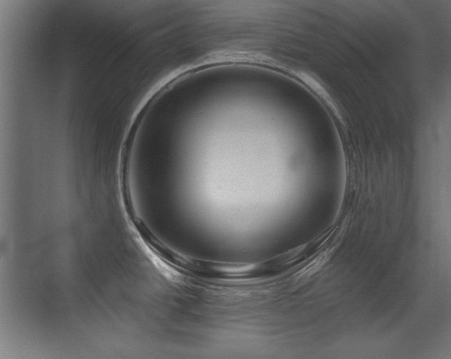 X0000071381438200606231234
