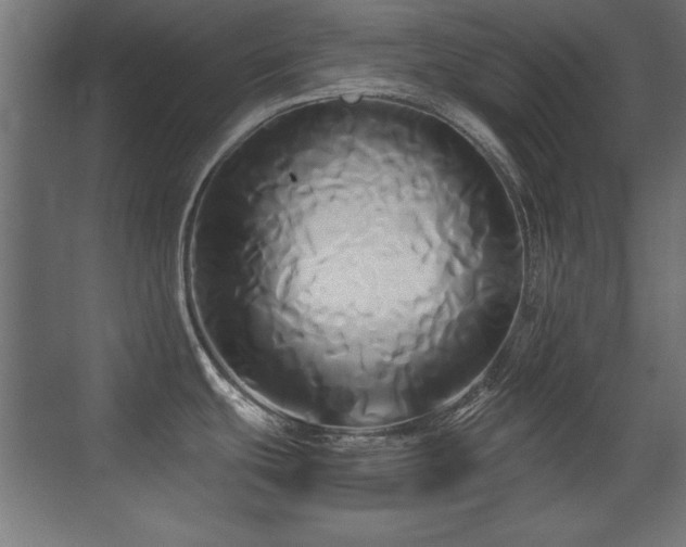 X0000071381439200606231234