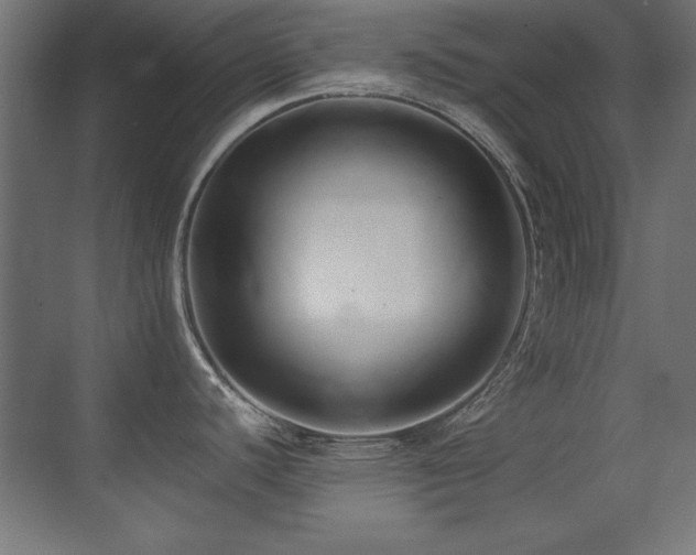 X0000071381440200606231234