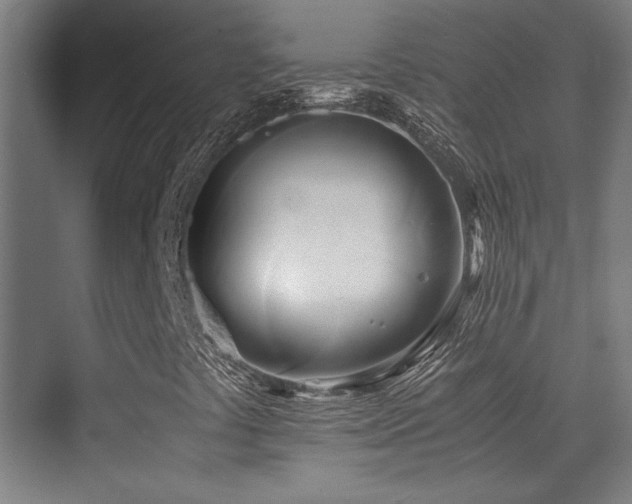 X0000071381441200606231234