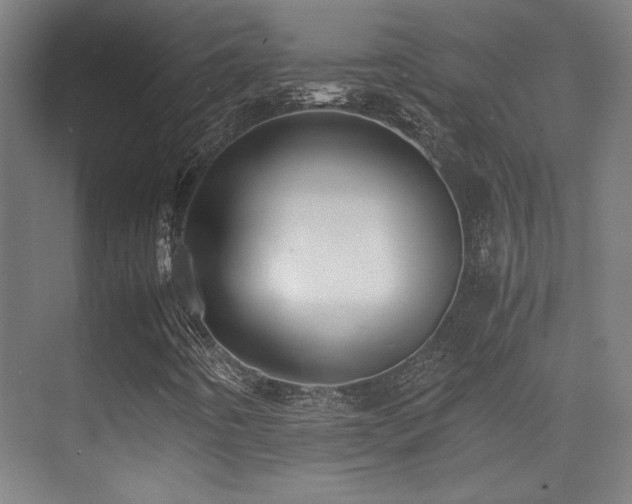 X0000071381442200606231234