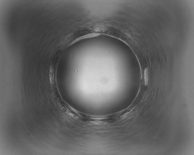 X0000071381443200606231234
