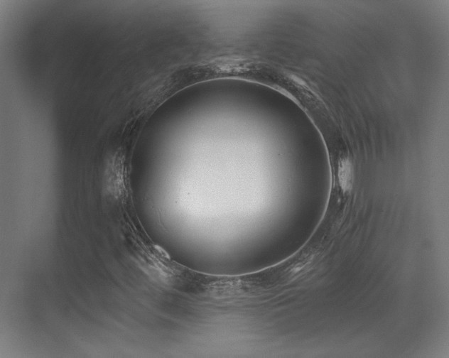 X0000071381444200606231234