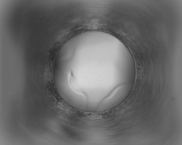 X0000071381446200606231233
