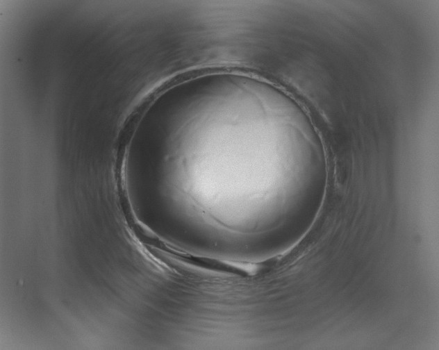 X0000071381452200606231233