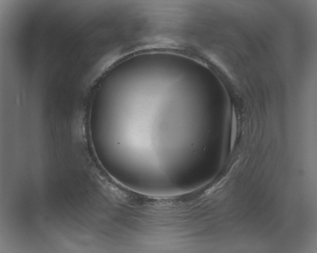 X0000071381455200606231233