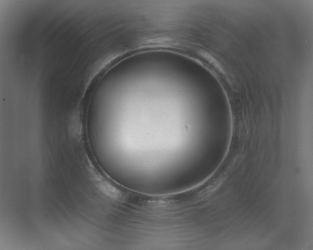 X0000071381458200606231233