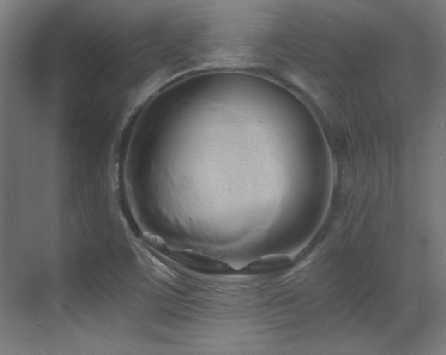 X0000071381459200606231233