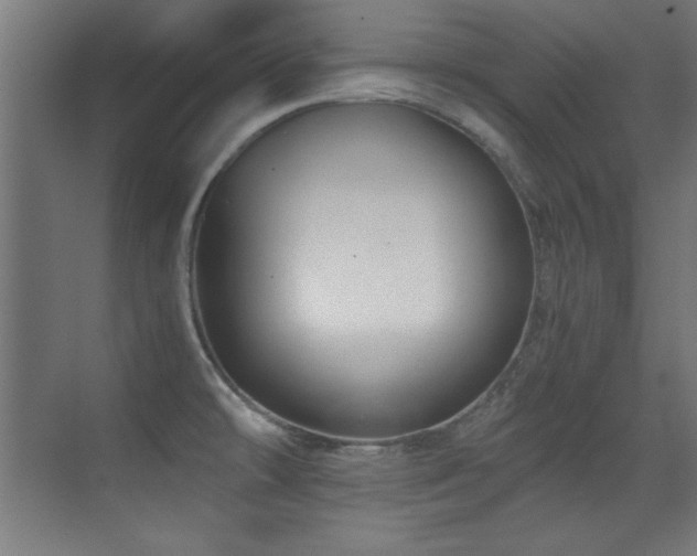 X0000071381478200606231233