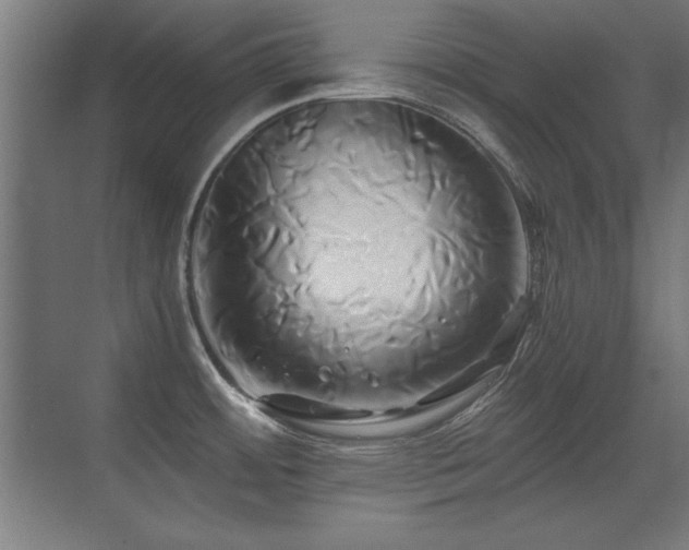 X0000071381484200606231233