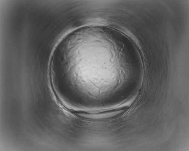 X0000071381488200606231233