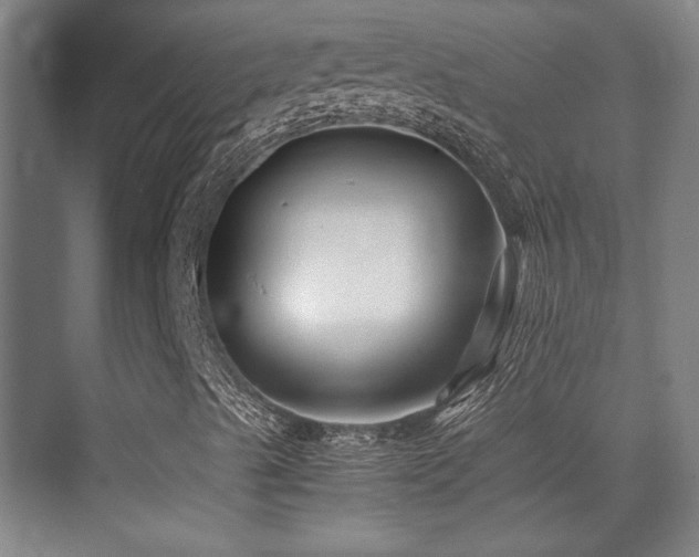 X0000071381489200606231232