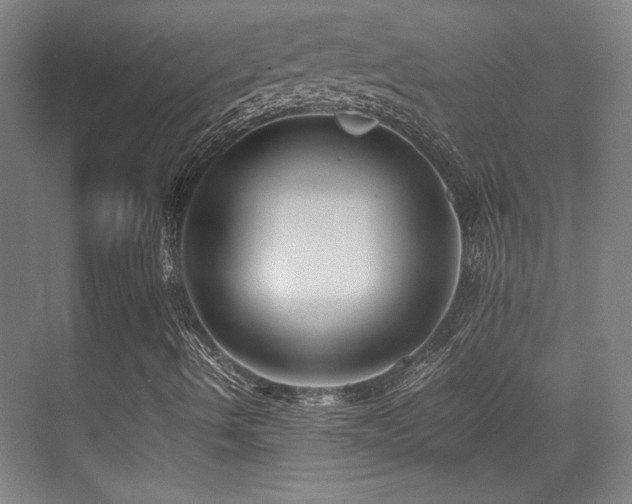X0000071381490200606231232