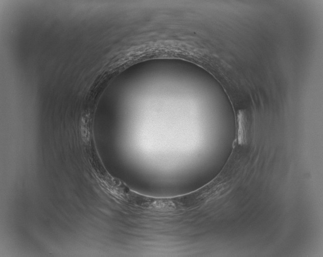 X0000071381491200606231232