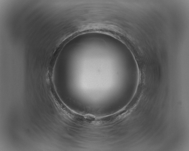 X0000071381497200606231232