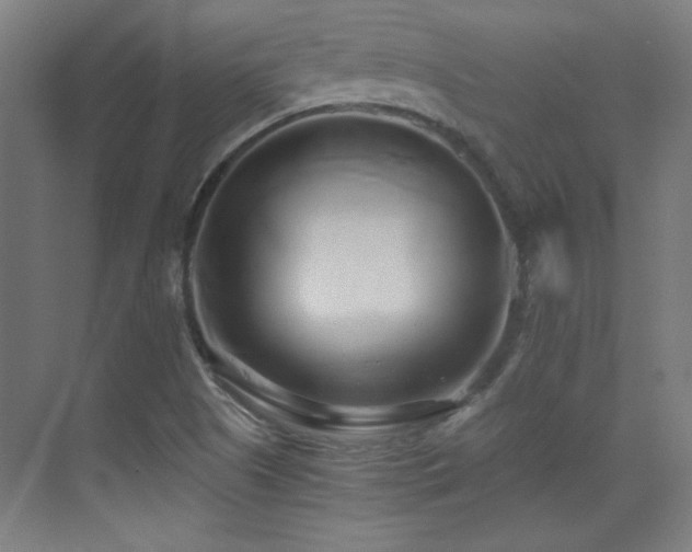 X0000071381505200606231232