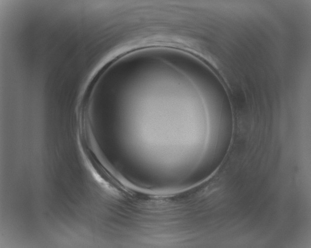 X0000071381515200606231232