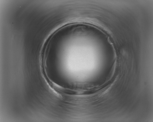 X0000071381517200606231232