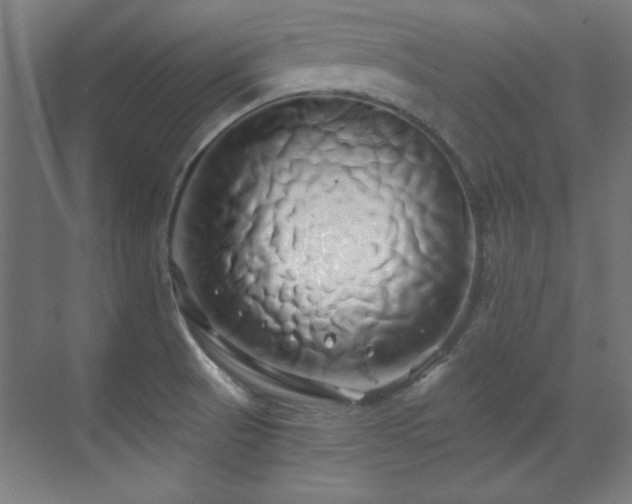 X0000071381521200606231232