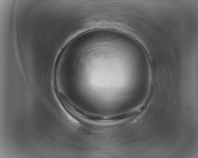 X0000071381525200606231233