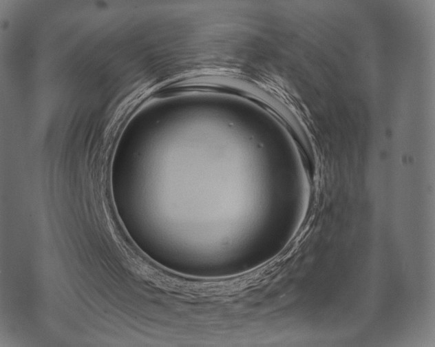 X0000071380001200606261425