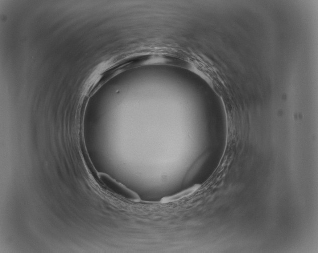 X0000071380003200606261425