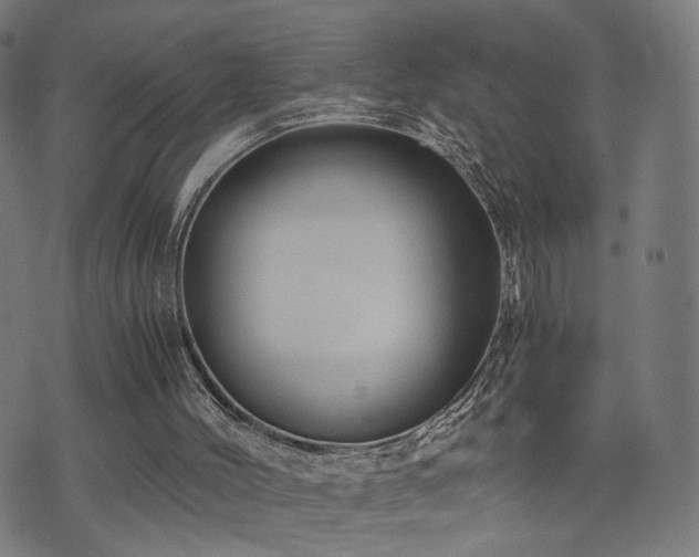 X0000071380004200606261425