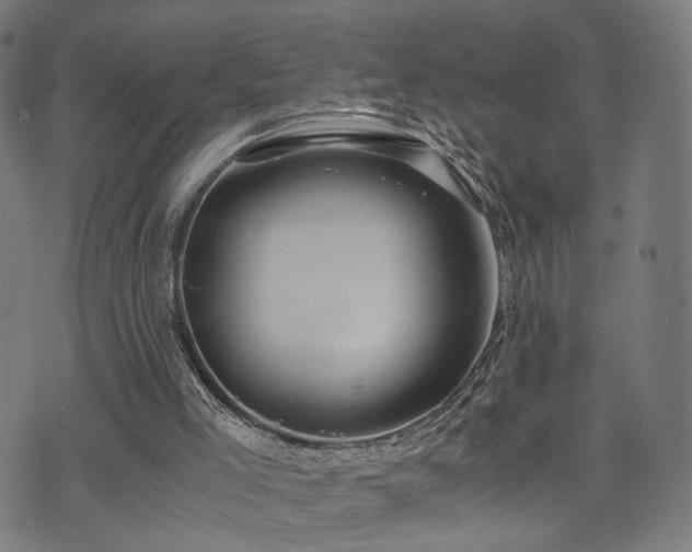 X0000071380005200606261425