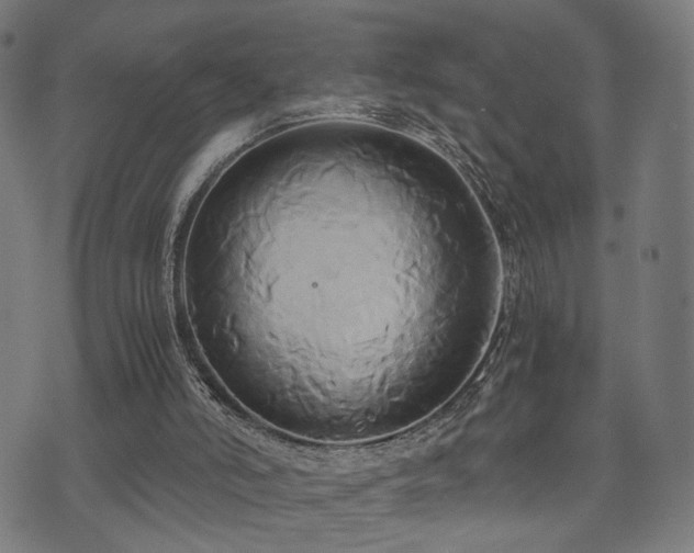 X0000071380006200606261425