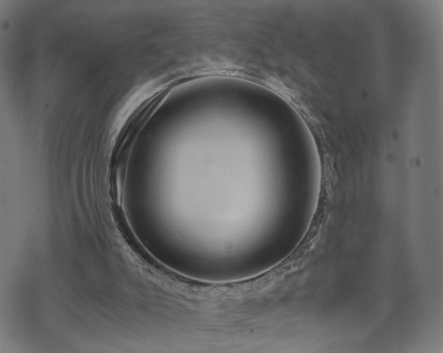 X0000071380007200606261425