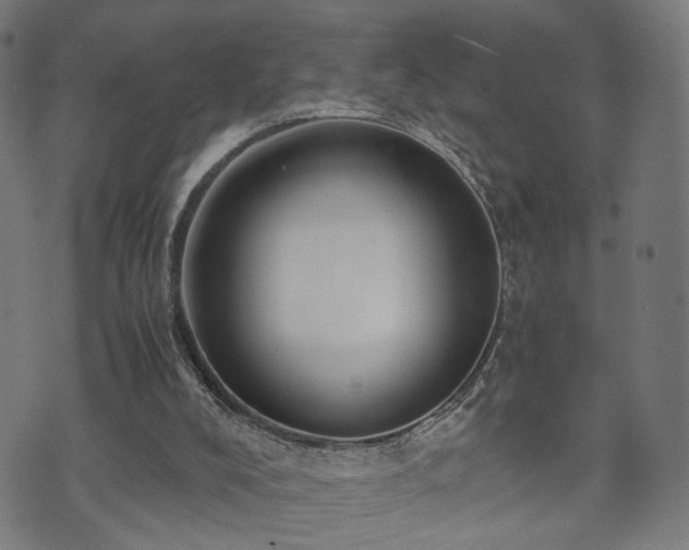 X0000071380008200606261425