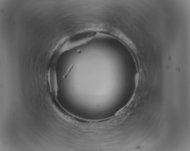 X0000071380009200606261425