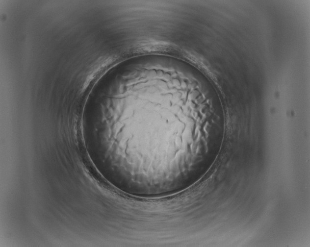 X0000071380010200606261425