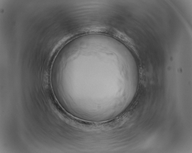 X0000071380012200606261425