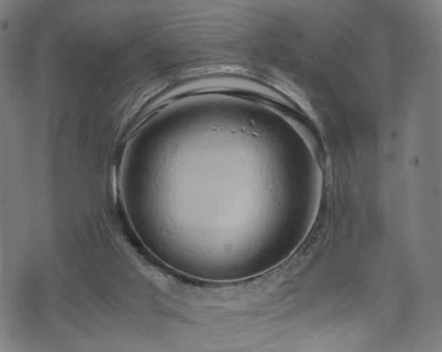 X0000071380013200606261425