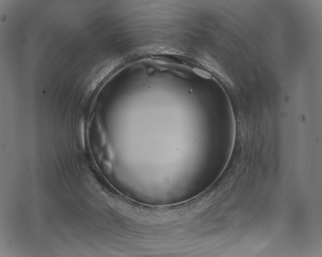 X0000071380014200606261425