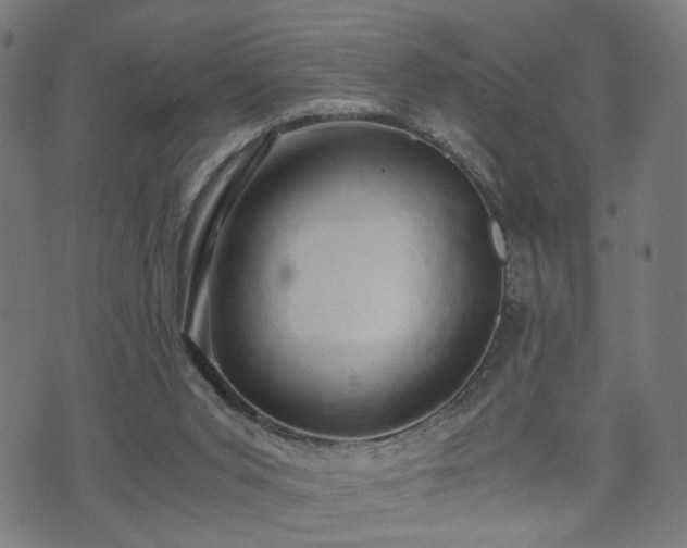 X0000071380015200606261425