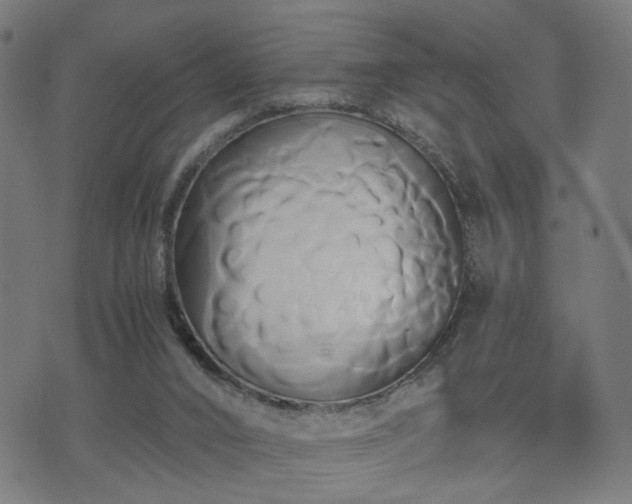 X0000071380016200606261425