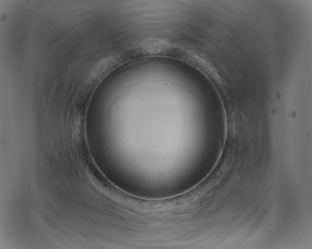 X0000071380018200606261425