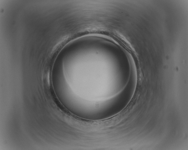 X0000071380019200606261425