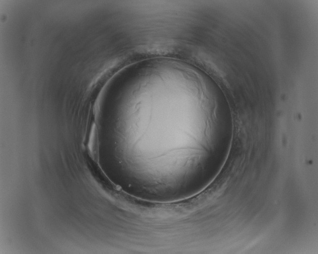 X0000071380020200606261425