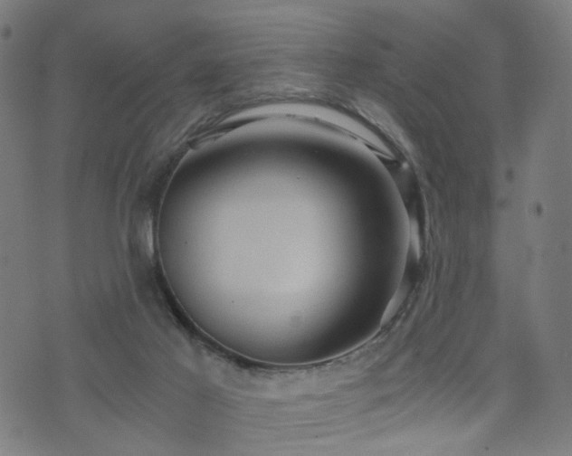 X0000071380021200606261425