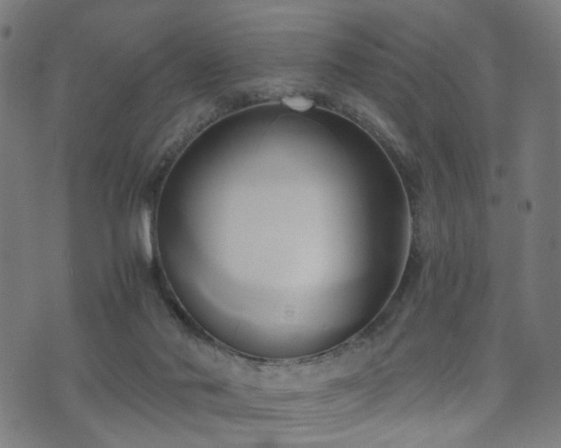 X0000071380022200606261425