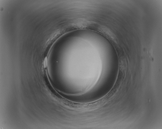 X0000071380023200606261425