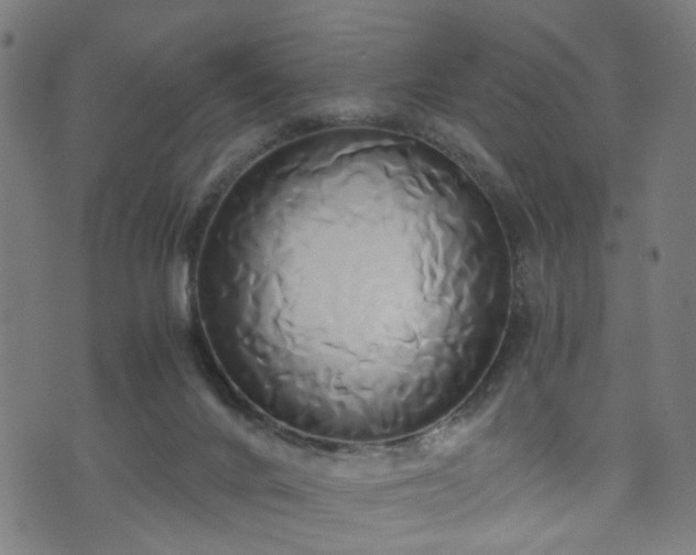 X0000071380024200606261425