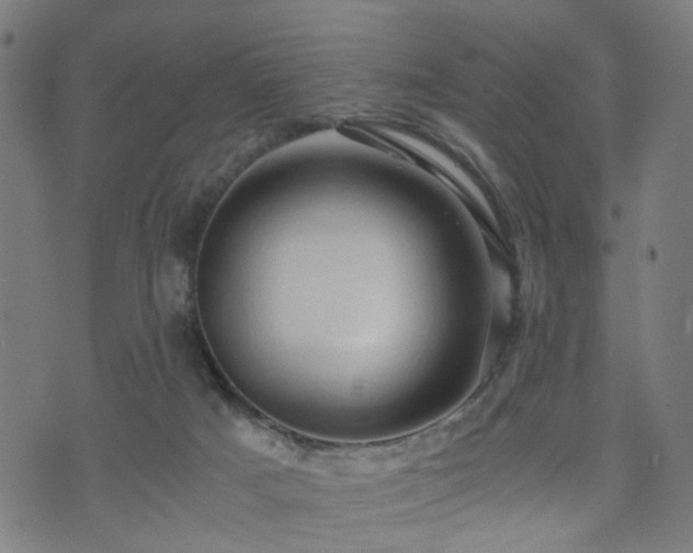 X0000071380025200606261424