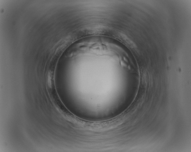 X0000071380026200606261424